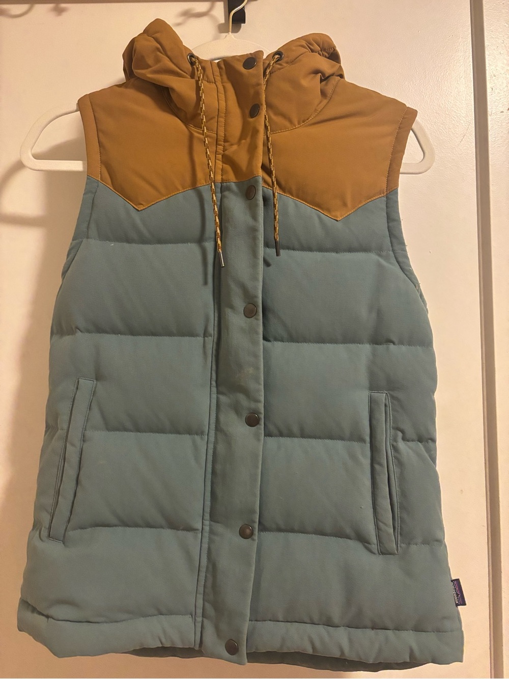 Patagonia women’s down vest